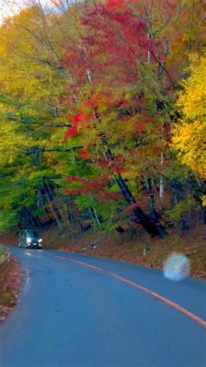Nikko in autumn 🍁— nature’s golden magic in Japan 🇯🇵✨ #fblifestyle #beautiful | Nippon Atarime