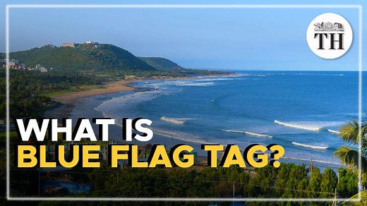 1.5K views · 53 reactions | The Blue Flag tag or Blue Flag certification is one of the world’s most recognised voluntary eco-labels. It is awarded to beaches, marinas and sustainable boating tourism operators. The Blue Flag beaches are considered the cleanest beaches in the world. Currently 10 beaches in India have received the Blue Flag Tag including the two latest addition. | The Hindu | Facebook
