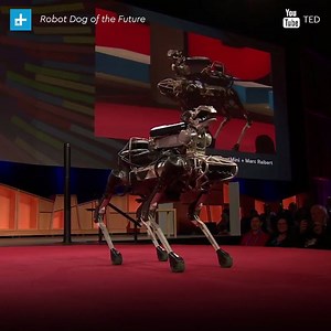 108K views · 2K shares | Sit Ubu sit, good dog! Now, fetch me a beer!...