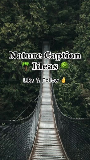 Nature Caption Ideas 🌴🌳