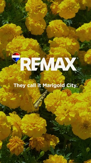 Pekin Real Estate: The Bradshaw Team at RE/MAX