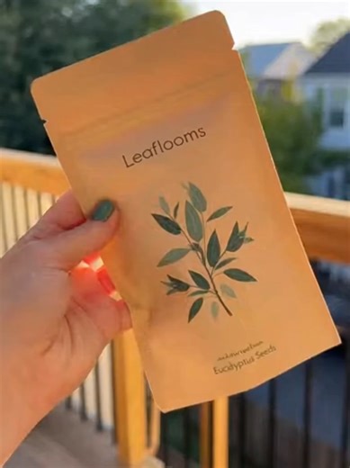 Grow Your Own Eucalyptus Tree from Seeds #EucalyptusTree #PlantFromSeed #GardenLife #BackyardGarden #GreenHome
