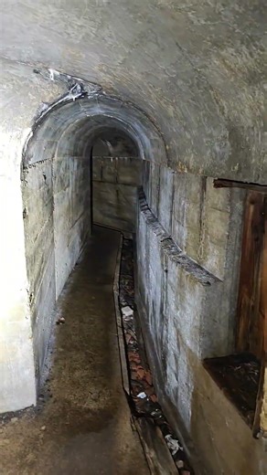 Inside a Hidden WW2 Tunnel & Bunker 😱 #shorts #ww2 #bunker #history #urbex #exploring #warhistory