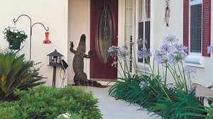 It’s peak season for problematic alligators in SC. Here’s how DNR decides to kill or relocate