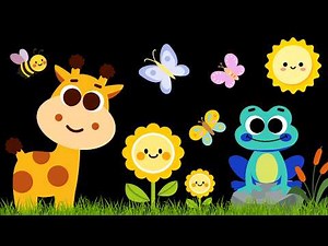 Baby Sensory Video - High contrast - Sensory Videos for Babies - Visual Stimulation for Newborn