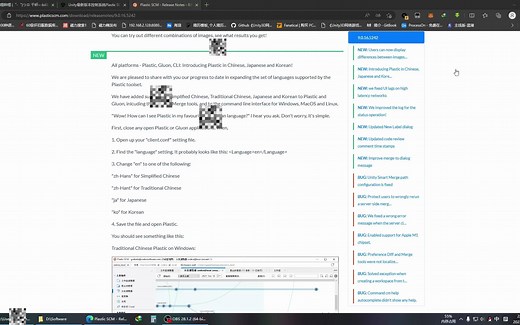 Plastic SCM 设置中文语言教程