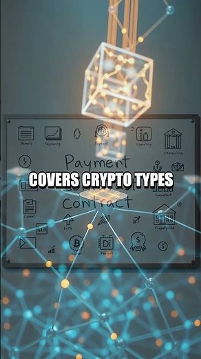 The Curious Investor's First Leap into Blockchain and Crypto Types