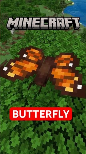 Butterflies Explained in Minecraft #minecraftshort #animalfacts #minecraftlive #animallife