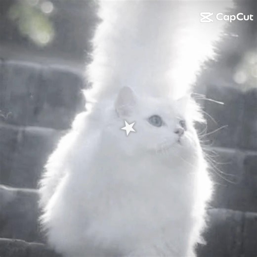 The Theme Is WHITE #subscribe #like #colors