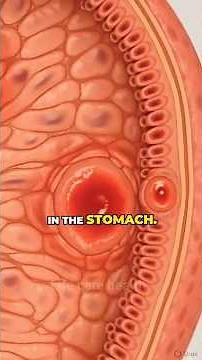 What Happens Inside Your Body When You Eat Bacon? #humanbody #bacon #digestivesystem #portioncontrol