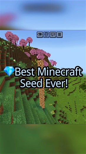 Best survival seed Ever! 🔥#Minecraft