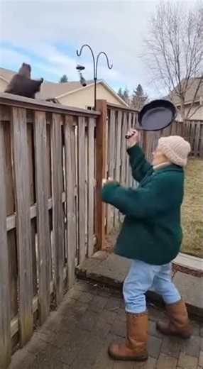 Grandma Chases Bear Off Her Fence With A Frying Pan 😱 #bear #grandma #wildlife