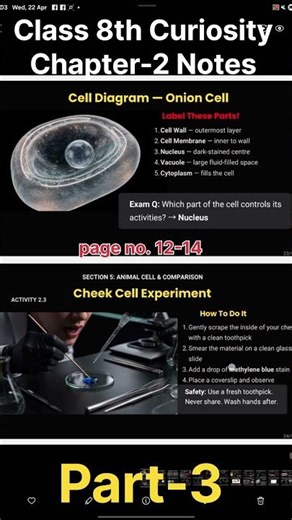 👉 Class 8 Science Chapter 2 Easy Notes 😳 | Curiosity Explained Notes Part -4 #class8#Curiosity