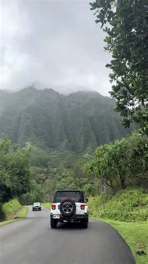 Postcards from Hawaii 🌺