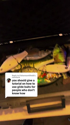 How to Catch Giant Bass with Glide Baits