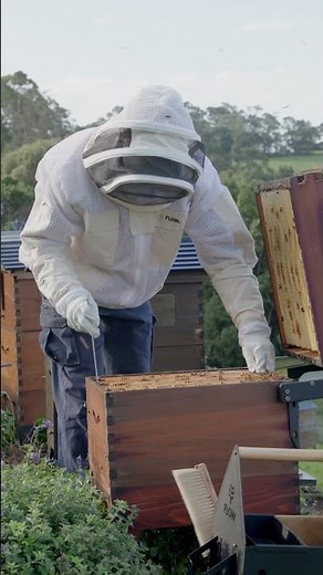 Beekeeping accessories 🧰