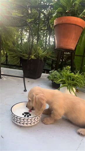 baby theo’s first water break