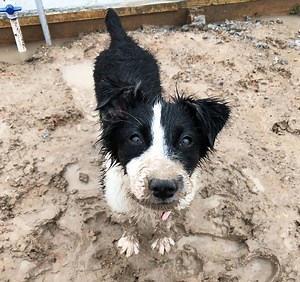 Happy Best Friends Day 👩🏼‍🤝‍👩🏻 (it was yesterday but I forgot to post!) | Bordernerd