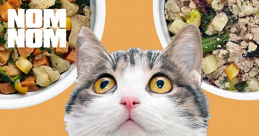 Nom Nom Cat Food – Is the NomNomNow Price Worth It?