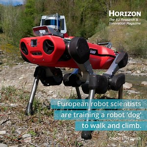 19K views · 18 reactions | Robots have begun to push the boundaries of mobility. New technology is finding ways to make robots move more autonomously in different terrains and conditions, with a view to unleashing their full potential in critical applications, from search and rescue to space exploration. Explore more ➡️ bit.ly/3N42Wbc #ResearchImpactEU | HORIZON: the EU Research & Innovation magazine | Facebook