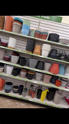 Dollar tree coming in hot with the pots!! new self watering pots and all kind of cute designs! #dollartree #houseplants #gardening #planters