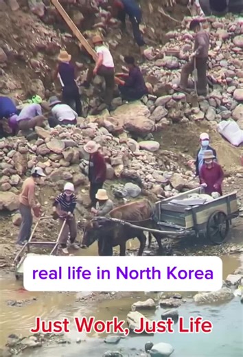 A Day in North Korea: Everyday Life Unveiled