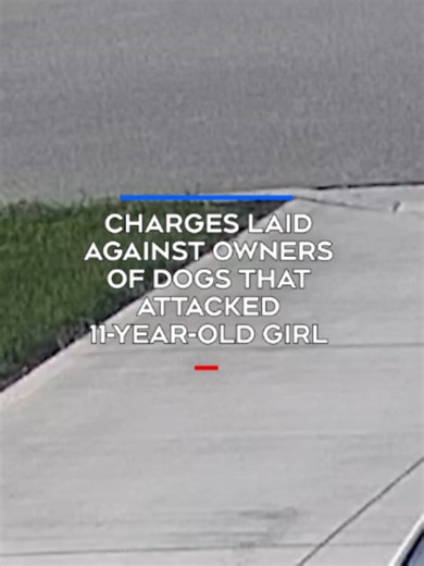 Charges have been laid in a dog attack in Amherstburg Ont., where two Rottweilers jumped a fence and attacked a child walking her dog. #newsstories #canada #Ontario