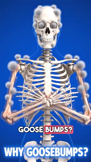 Why Do You Get Goosebumps? #goosebumps #animation #healthtips