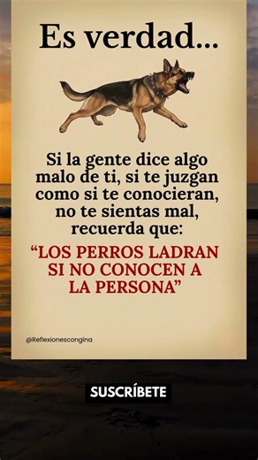 Perro que ladra no muerde #frases #reflexion #motivacion #shorts #viralshorts