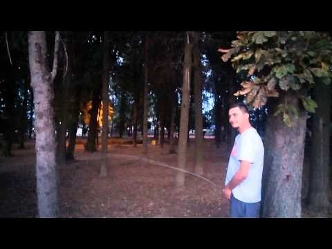Genuisse world record in peeing..
