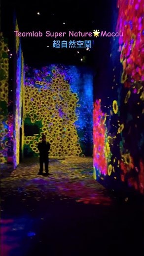 teamLab Macau 沉浸式3D 藝術 @ 威尼斯人 澳門