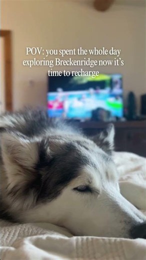 Exploring Breckenridge is exhausting. 🐾