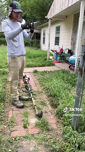 Reviving Overgrown Yards: Tips for Busy Moms