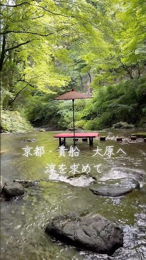 京都・貴船神社と大原三千院をめぐる日帰りバスツアー。涼やかな川床料理や青もみじ、パワースポットでの参拝。小さな夢が叶った幸な一日でした#京都旅行 #シニアVlog #日帰り旅 #貴船神社 #大原