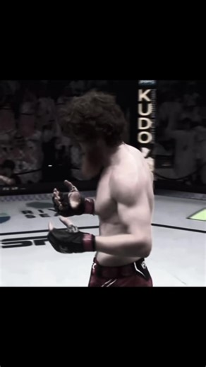 Understanding MMA Techniques for Beginners