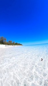 Crystal clear water in Aruba! #beaches #beachlife | Life's A Beach