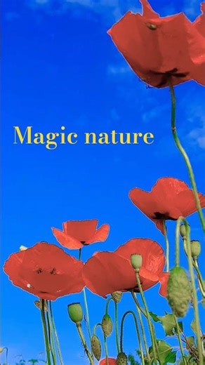 AMAZING Mother Nature 💚! #shorts #naturesounds #relaxingnaturesounds #wildlife
