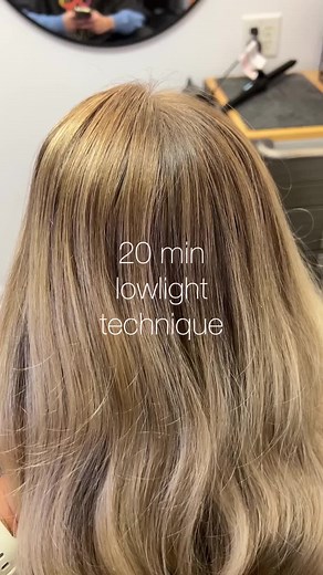 20 Minute Low Lights Tutorial for Blonde Hair with 6 in and 7 G Shades EQ Cream
