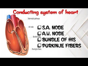 “Conducting System of the Heart | Easy Explanation for Nursing & Medical Students”