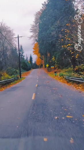 #youvegothis #space #fyp #timeout | Cheyenne Shiree Lippert