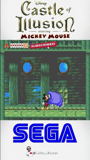 World of Illusion Starring Mickey Mouse and Donald Duck #retrogaming