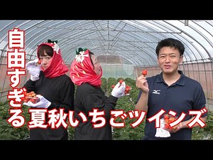 #73 話題の夏秋いちご農家あべファームさんでいちご狩り！自由すぎる夏秋いちごツインズに市長は!?【むつ市長の62ちゃんねる】