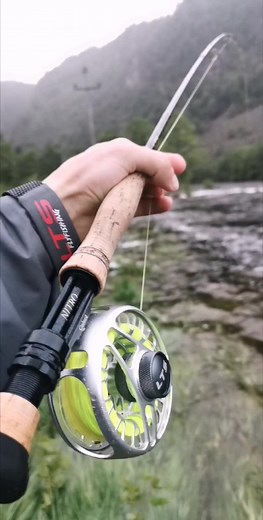 LTS Flyfishing on Reels
