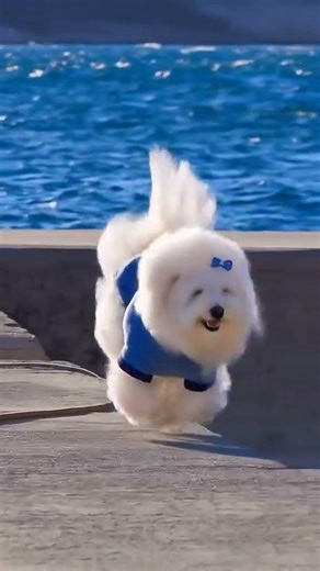 #small #cute #love #shotsfeed #short #youtubeshots #trading #crypto #youtuber #youtubevideos #loves