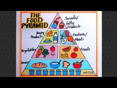 Food Pyramid Drawing / Food Pyramid Nutrition Drawing/Food Pyramid Explanation Chart Drawing