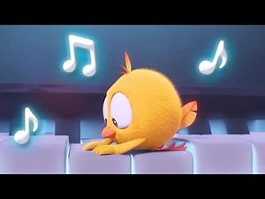 Chicky the Musician | Where's Chicky? | Cartoon Collection in English for Kids | New episodes