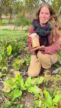 Fall Harvest: Horseradish for Fire Cider