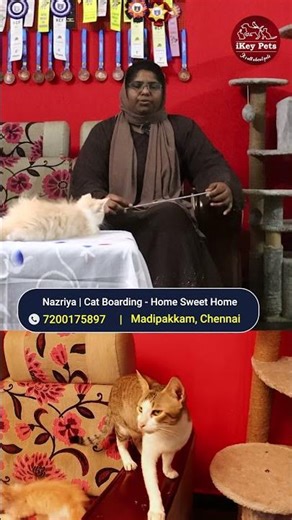 What is the time when a Cat Bite & Scratch? Cat Aggressive #ikeypets #cat #catcare #catvideos #sh...