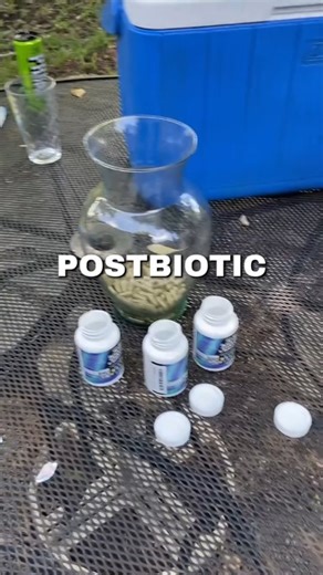 Ruby May on Instagram: "Are stress, cravings, and digestive woes bringing you down? You absolutely need to check this out… (scroll for details) ✅ Ashwagandha. My stress was through the roof until I found this gem. Now, my mood is more stable and I feel so much calmer. ✅ Apple cider vinegar. Skepticism was real, but it’s been a game changer for my cravings and gives me lasting energy. ✅ A pre, post, and probiotic mix. Your gut matters! Since using this trio, my tummy feels happy and I feel health