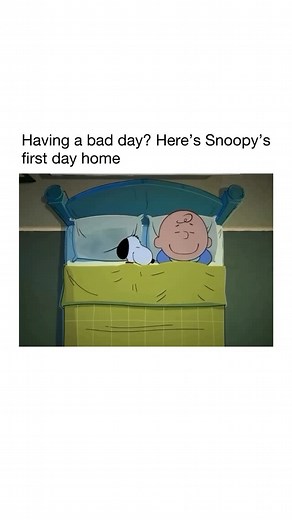 Factsdailyy on Instagram: "Snoopy is one of the most beloved cartoon dogs in history, created by Charles M. Schulz for his comic strip Peanuts, which debuted in 1950. He’s Charlie Brown’s imaginative and loyal beagle, known for his vivid daydreams, like pretending to be a World War I flying ace battling the Red Baron or a famous author typing on top of his doghouse. Snoopy doesn’t speak in words, but his thoughts are shown through thought bubbles, giving readers a peek into his witty and sometim